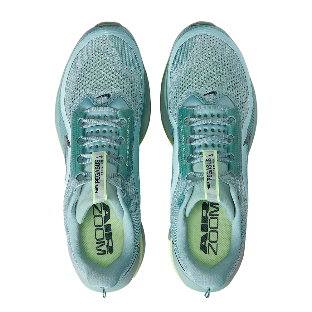 Nike Air Pegasus Premium